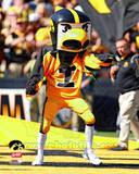 Herky the Hawk, the University of Iowa Hawkeyes Mascot Photo