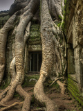 The Ta Prohm Temple Located at Angkor in Cambodia Photographic Print by Kyle Hammons