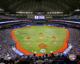 Rogers Centre 2013 Photo