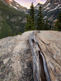 The Cascades - Washington State Photographic Print by Aaron Reed