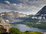 Mountain View and Hidden Lake Along Hidden Lake Trail, Glacier National Park, Montana Photographic Print by Ian Shive