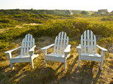 Adirondack Chairs on Lawn at Martha's Vineyard Near the Beach Photographic Print by James Shive