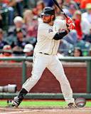 Brandon Crawford 2013 Action Photo