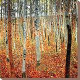 Forest of Beech Trees, c.1903 Stretched Canvas Print by Gustav Klimt