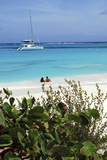 Swimming the Waters of Prickly Pear Island with Festiva Sailing Vacations Photographic Print by Lynn Seldon