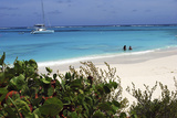 Swimming the Waters of Prickly Pear Island with Festiva Sailing Vacations Photographic Print by Lynn Seldon