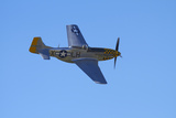 P-51 Mustang, American Fighter Plane, War Plane Photographic Print by David Wall