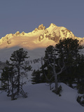 Sunrise on Mt Reichenspitze Mountain Range, Hohe Tauern National Park, Mt Gabler, Austria Photographic Print by Martin Zwick