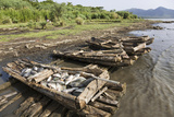 Fishing on Lake Chamo in Raft Made of Isoke Wood, Arba Minch, Ethiopia, Africa Photographic Print by Martin Zwick