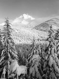Winter Frost Trees on Mt. Hood, Mt Hood National Forest, Oregon, USA Photographic Print by Stuart Westmorland