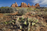 The Windows, Arches National Park, Utah, USA Photographic Print by Roddy Scheer