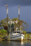 Shrimp Boat Docked at Harbor, Apalachicola, Florida, USA Photographic Print by Joanne Wells