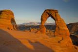 Delicate Arch, Arches National Park, Utah, USA Photographic Print by Roddy Scheer
