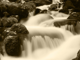 View of Waterfall with Autumn Maple Leave at Mt Hood National Forest, Oregon, USA Photographic Print by Stuart Westmorland