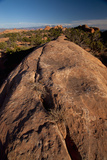 Rock Fin at Devils Garden, Arches National Park, Utah, USA Photographic Print by Roddy Scheer
