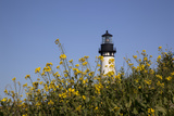 Yaquina Head Lighthouse, 1873, Newport, Oregon, USA Photographic Print by Jamie & Judy Wild