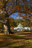 Autumn Colour, Botanic Gardens, Dunedin, Otago, South Island, New Zealand Photographic Print by David Wall