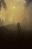 Forest Fire, Sequoia and Kings Canyon National Park, California, USA Photographie par Gerry Reynolds