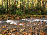 River Flowing Through Forest, Great Smoky Mountains National Park, Tennessee, USA Photographic Print by Walter Bibikow