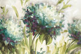 Hydrangea Field Art by Lisa Audit
