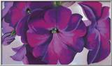 Petunias, c.1925 Posters by Georgia O'Keeffe
