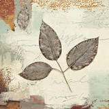 Silver Leaves II Prints by James Wiens