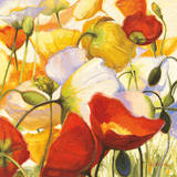 Poppies Up Close Posters by Shirley Novak