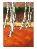 SilverBirch II Premium Giclee Print by Graham Reynolds