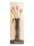 Pink Tulips in a Glass Vase Premium Giclee Print by Richard Sutton