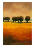 Pollard Willow II Premium Giclee Print by Graham Reynolds