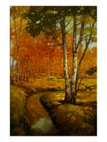 Woodland Stream II Premium Giclee Print by Graham Reynolds