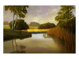 Reeds Birchs and Water I Premium Giclee Print by Graham Reynolds