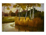 Reeds Birchs and Water II Premium Giclee Print by Graham Reynolds