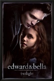 Twilight Posters