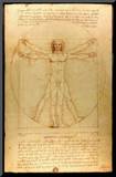 Leonardo Da Vinci (Vitruvian Man) Art Poster Print Mounted Print