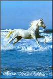Sea Mounted Print by Bob Langrish