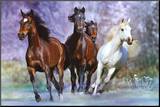 Running Mounted Print by Bob Langrish