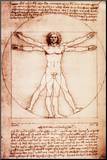 Vitruvian Man Mounted Print by Leonardo da Vinci 