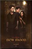 Twilight - New Moon Mounted Print