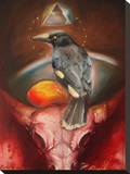 Currawong Stretched Canvas Print by Claire Reid