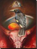 Currawong Leinwand von Claire Reid