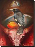 Currawong Stretched Canvas Print by Claire Reid