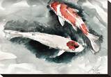 Gertal Pond Koi Stretched Canvas Print by Clark North
