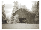 Barn 2 Photographic Print by M.B. Phelps