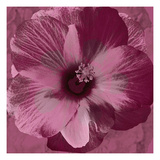 Tylene I Prints by Michele Roohani