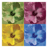 Tylene Prints by Michele Roohani