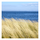 Willapa Bay 2 Photographic Print by Paul Edmondson