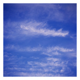 85348 Photographic Print by Paul Edmondson