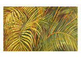 Tropical Light Giclee Print by Darrell Hill
