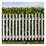 Willapa Fence Photographic Print by Paul Edmondson